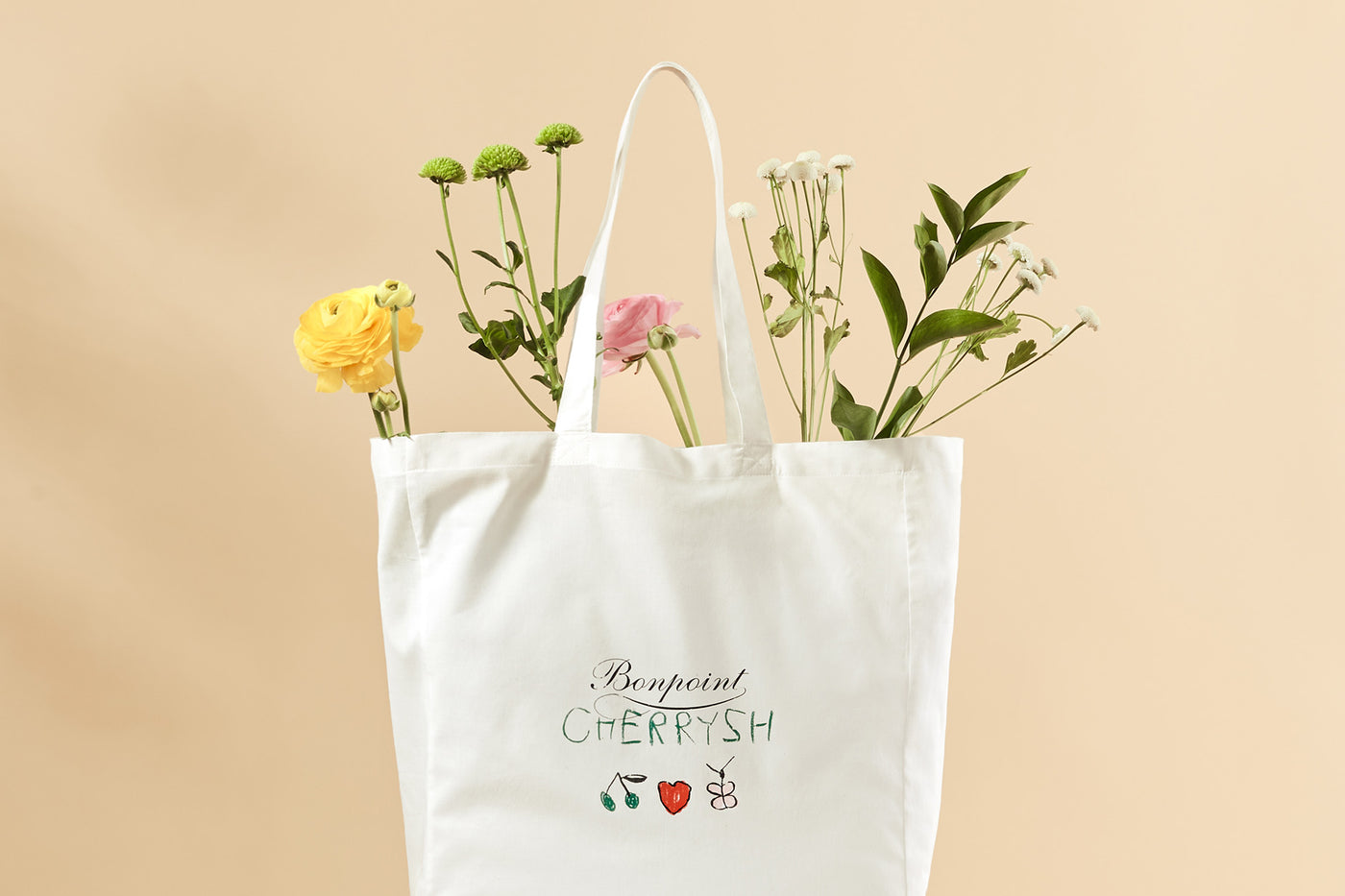 The Cherrysh Capsule