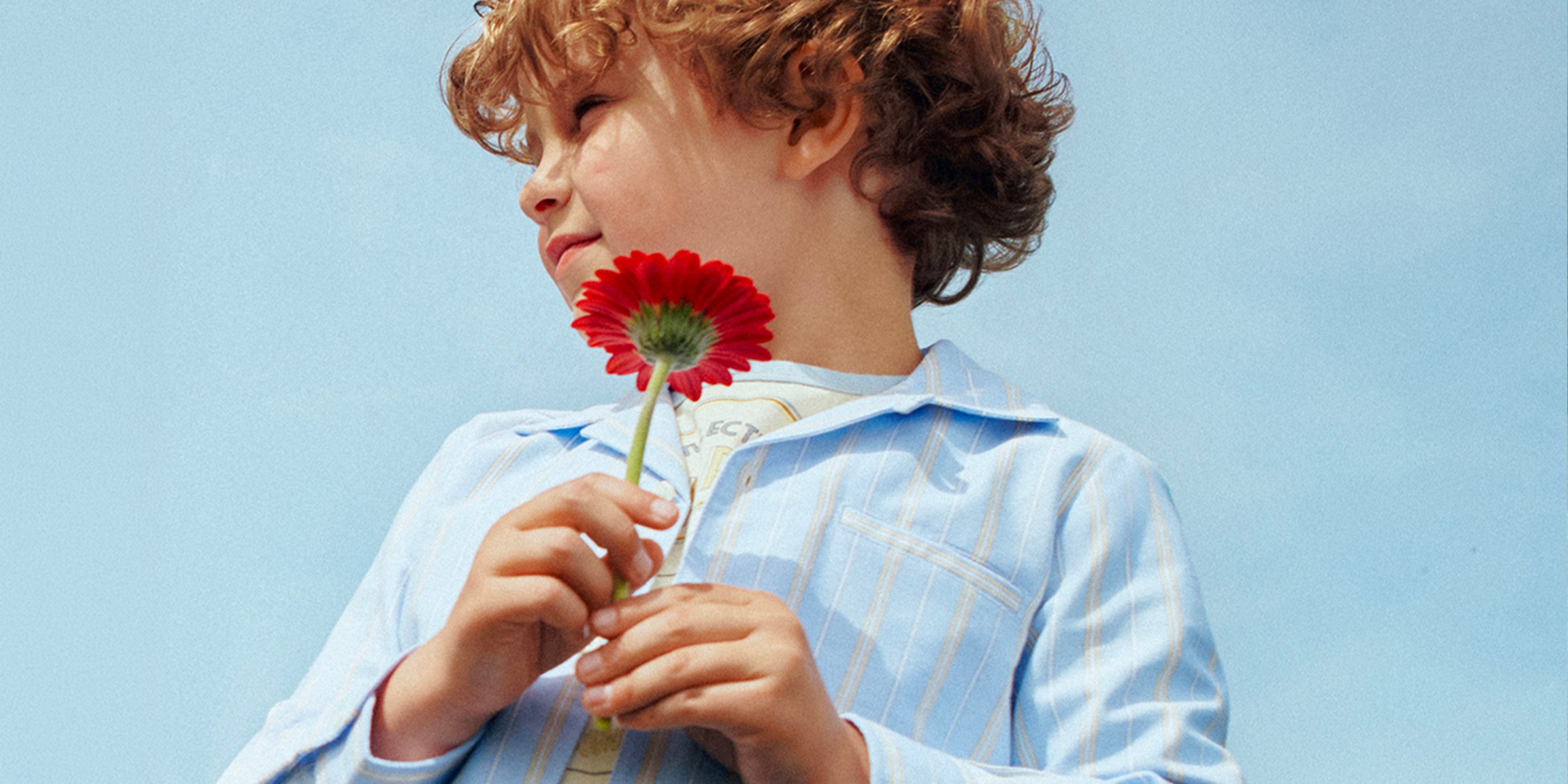 New collection