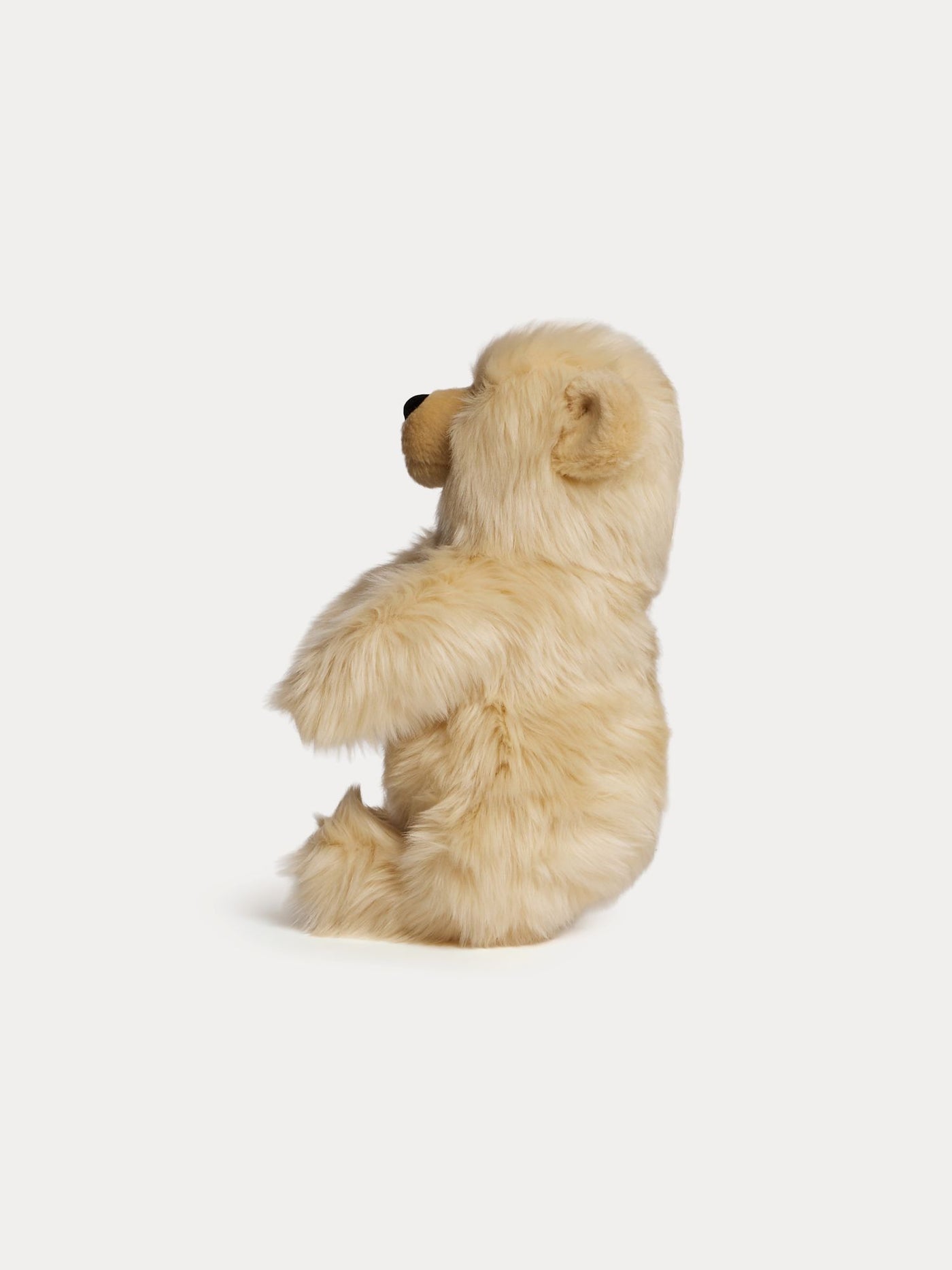 My Jules Bear plush honey 35cm