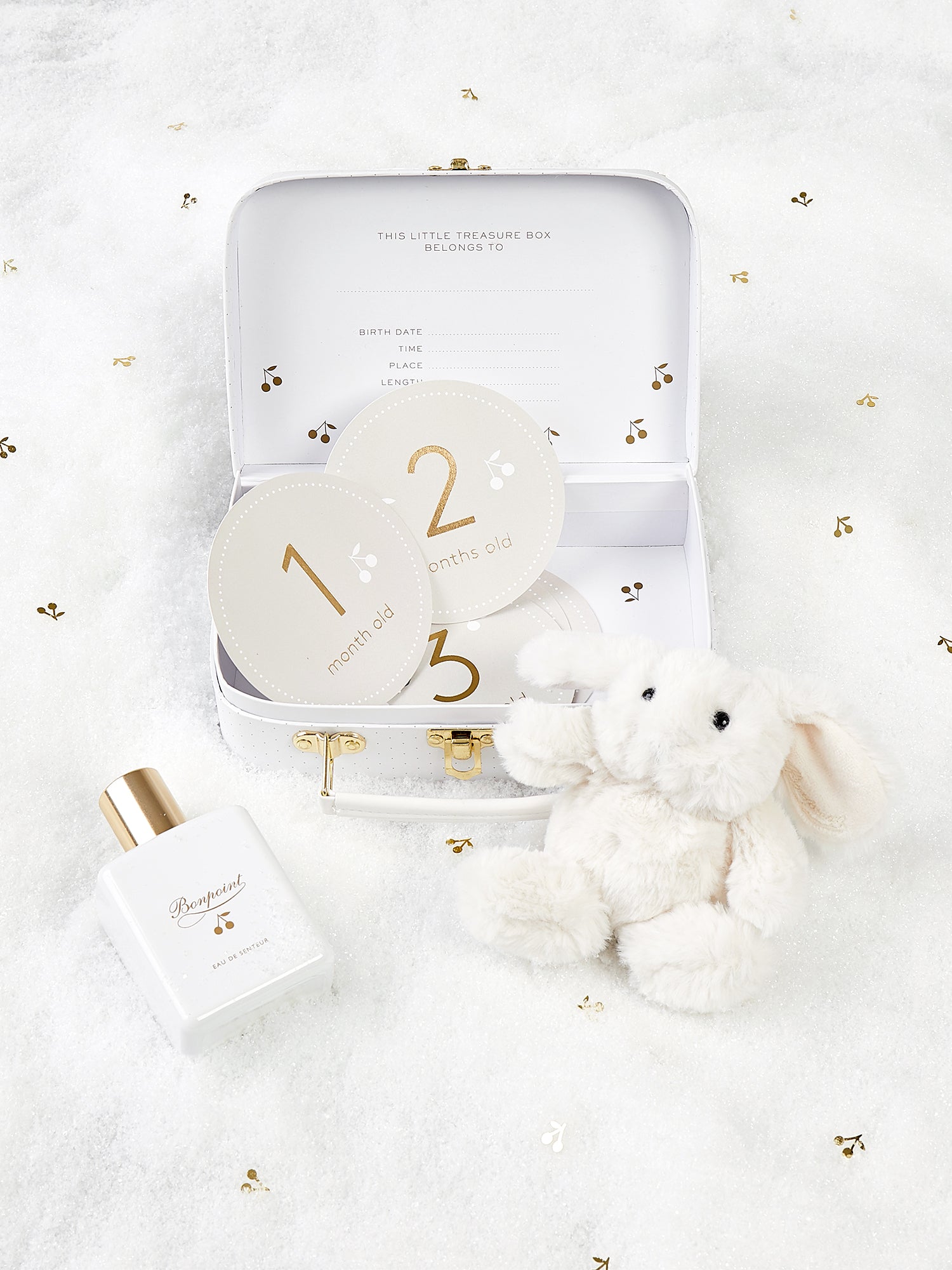Newborn edition Suitcase • Bonpoint