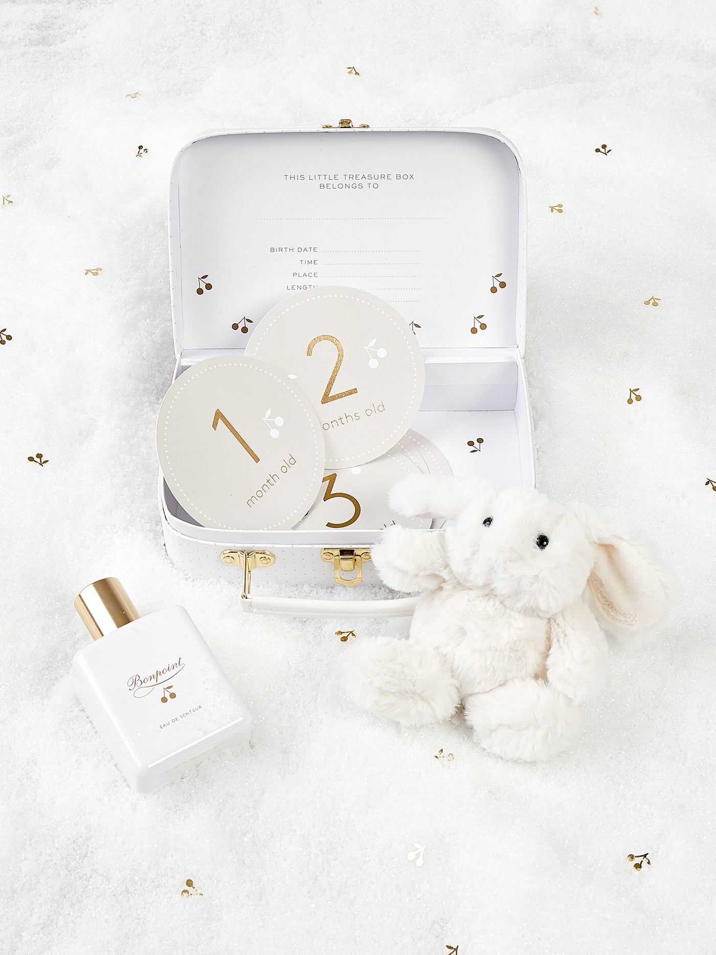 Newborn edition Suitcase