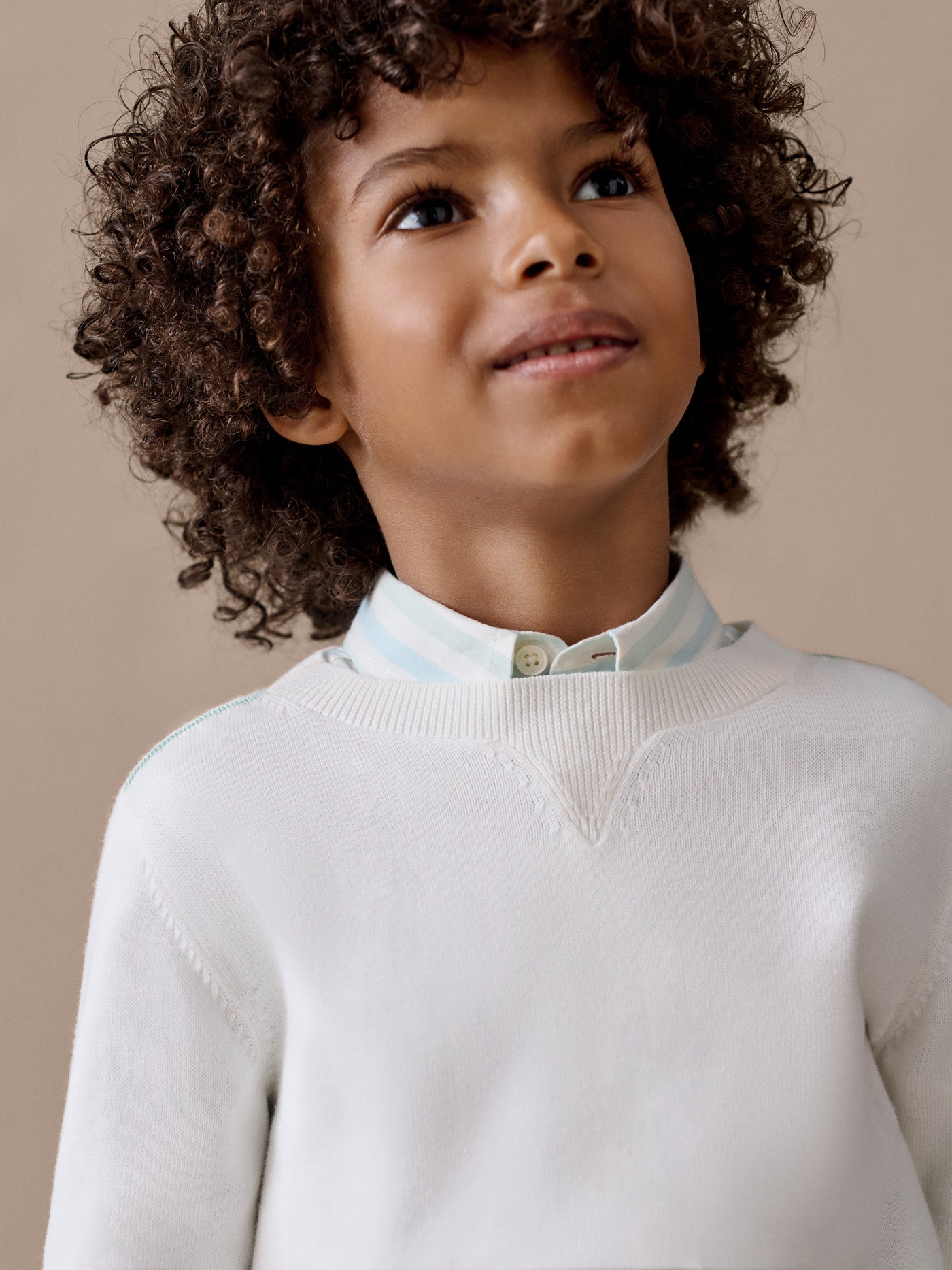Linton striped shirt in organic cotton poplin