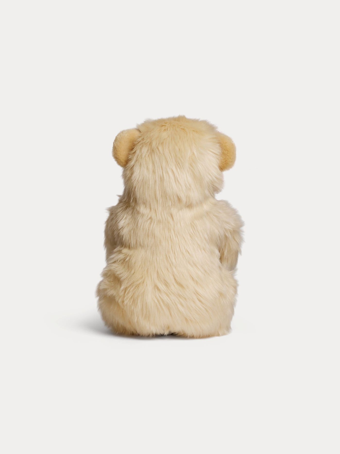 My Jules Bear plush honey 35cm