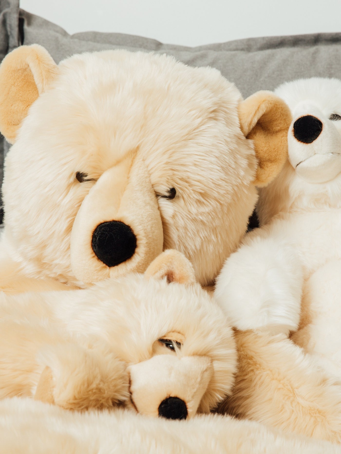 My Jules Bear plush honey 35cm