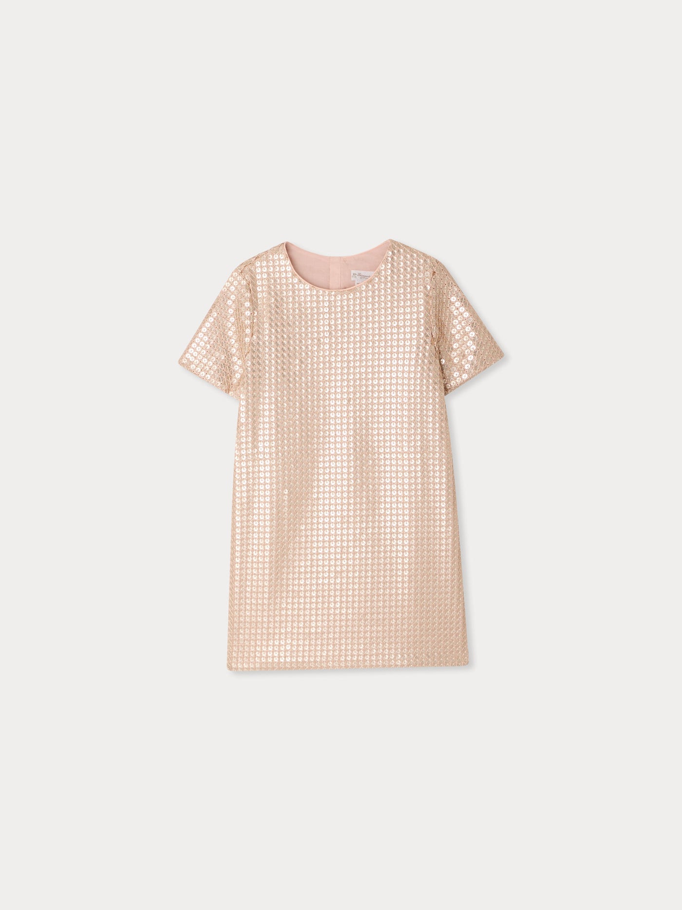 Lea dress embroidered with sequins