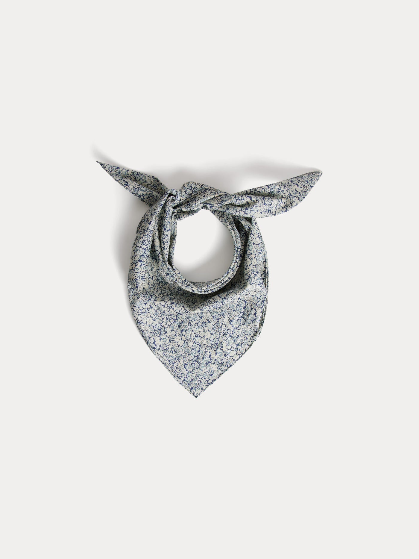 Prussian blue flowers