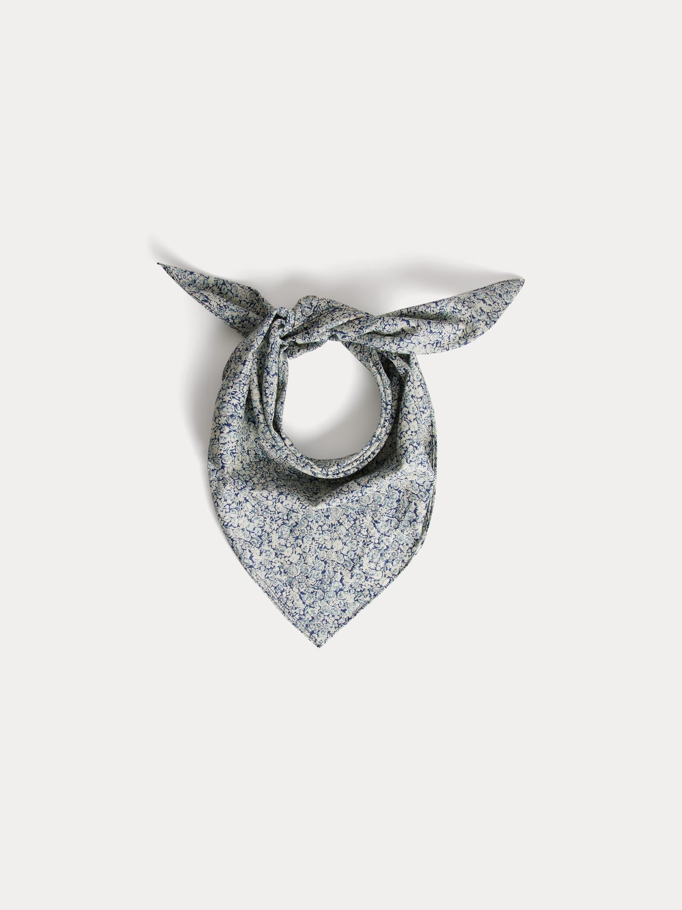 Prussian blue flowers