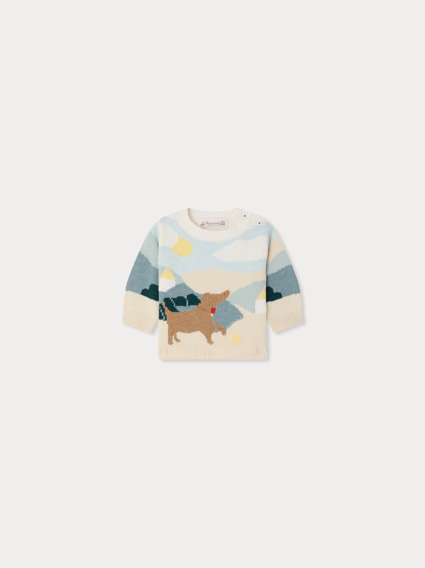Almire hand-embroidered dog sweater in organic cotton