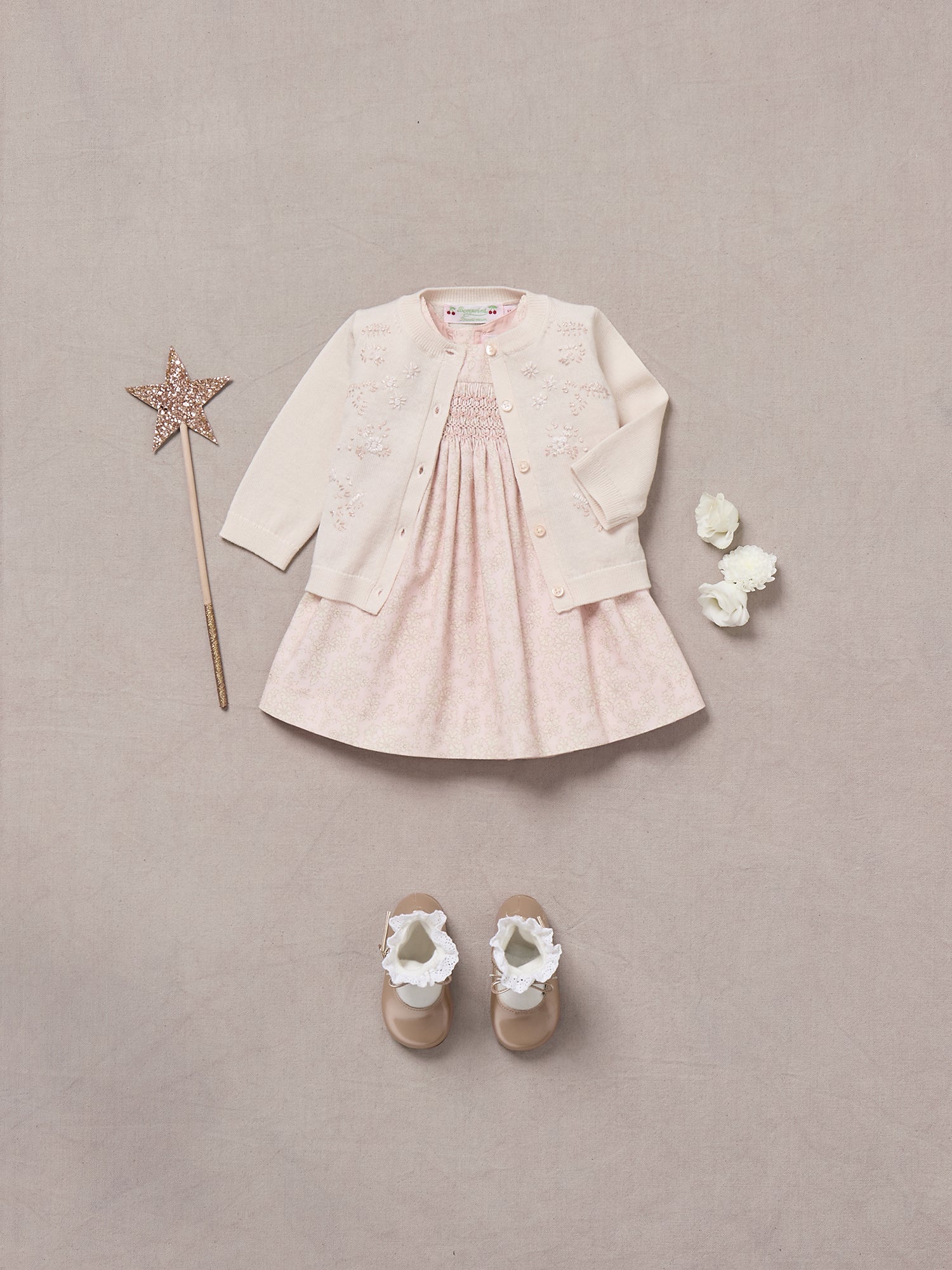 Bonpoint Baby Girl popular Embroidered Dress