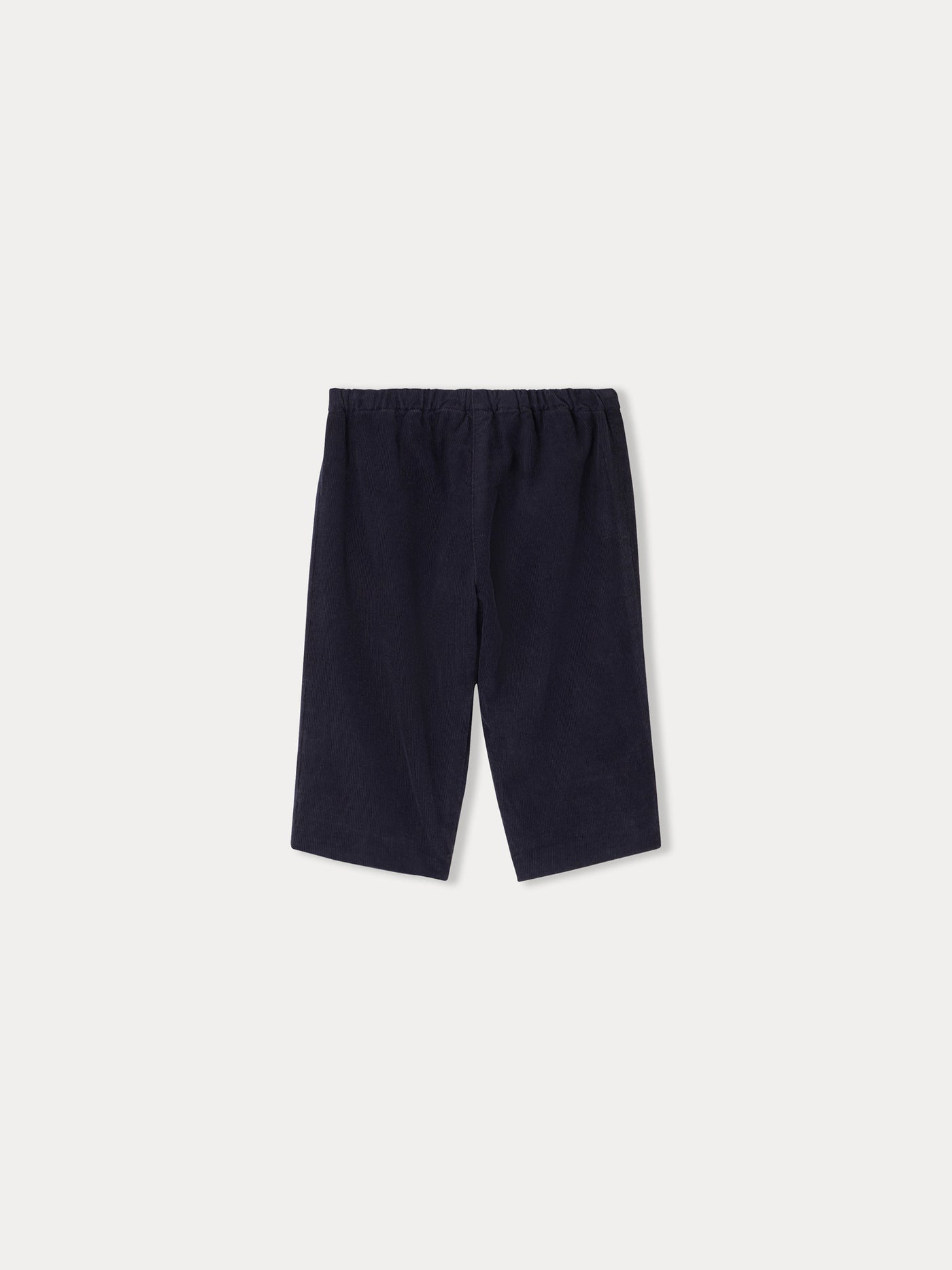 Dandy pants in midnight blue velvet