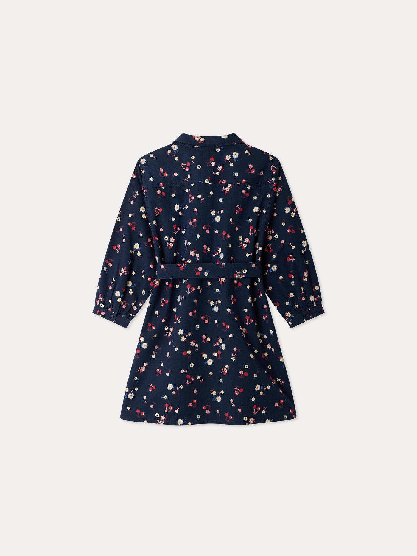 Milaine dress with Peter Pan collar in organic cotton twill