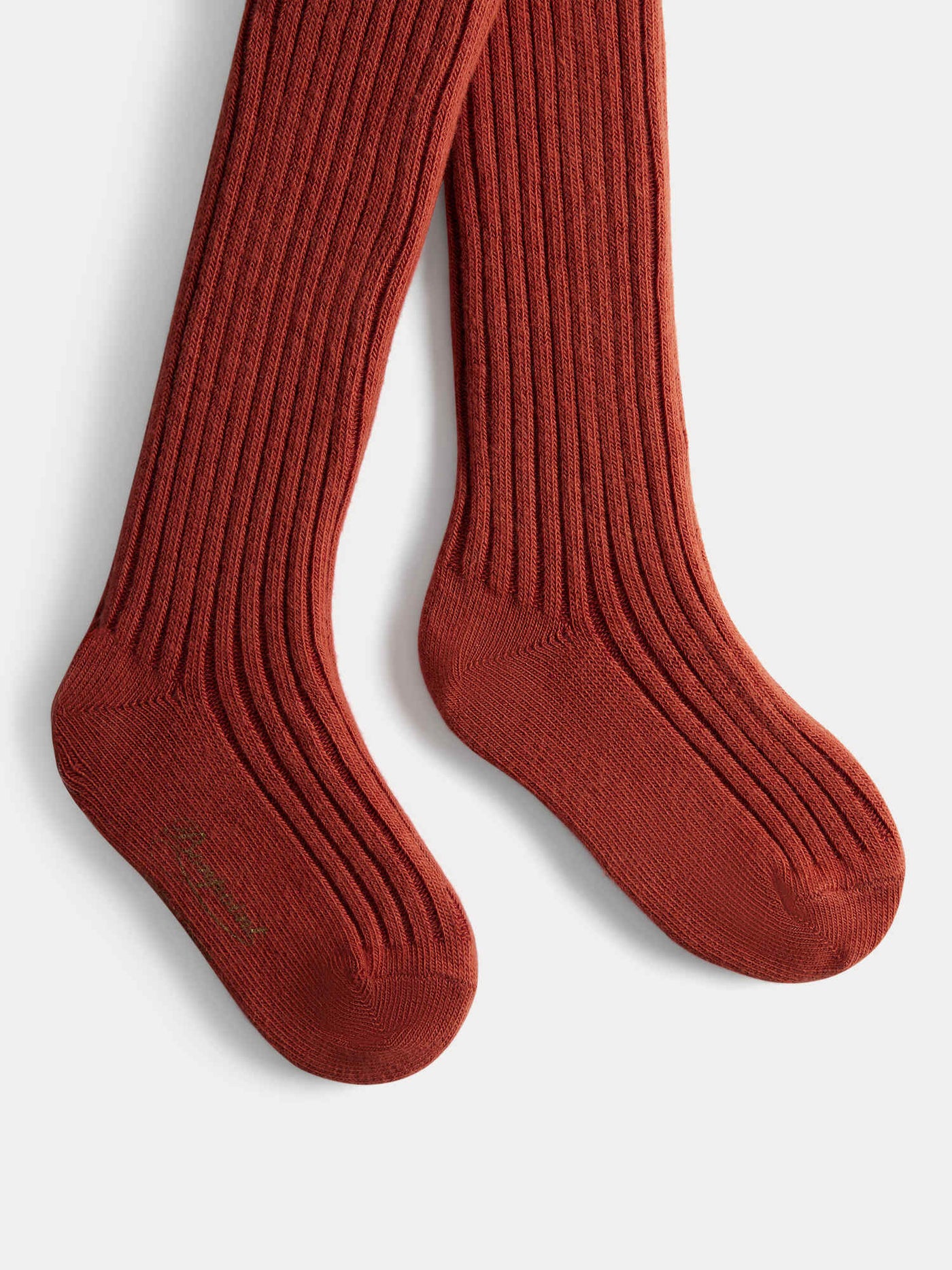 Banny squirrel baby ribbed tights