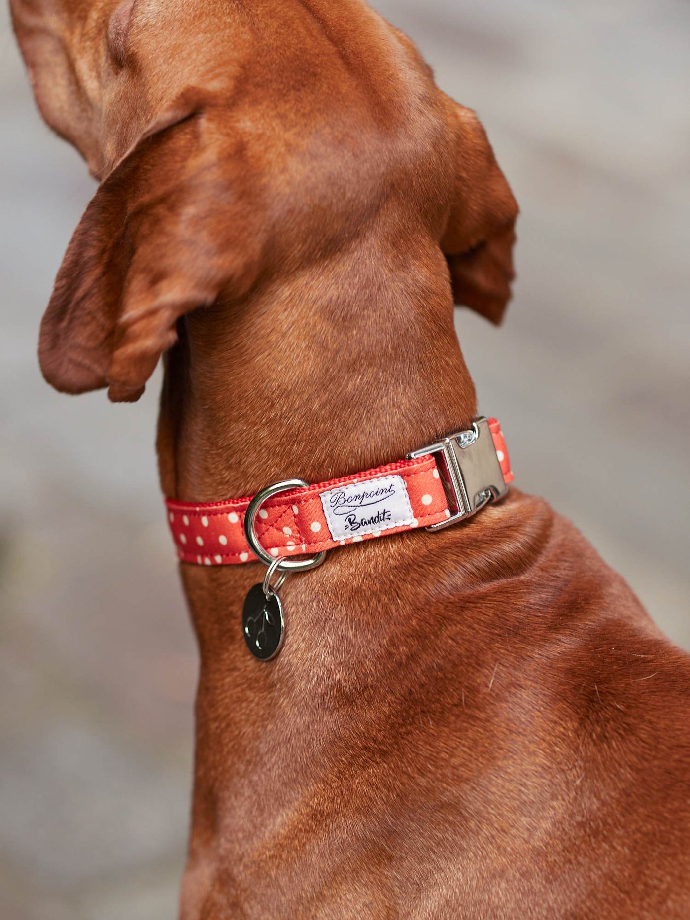 Dog Collar red
